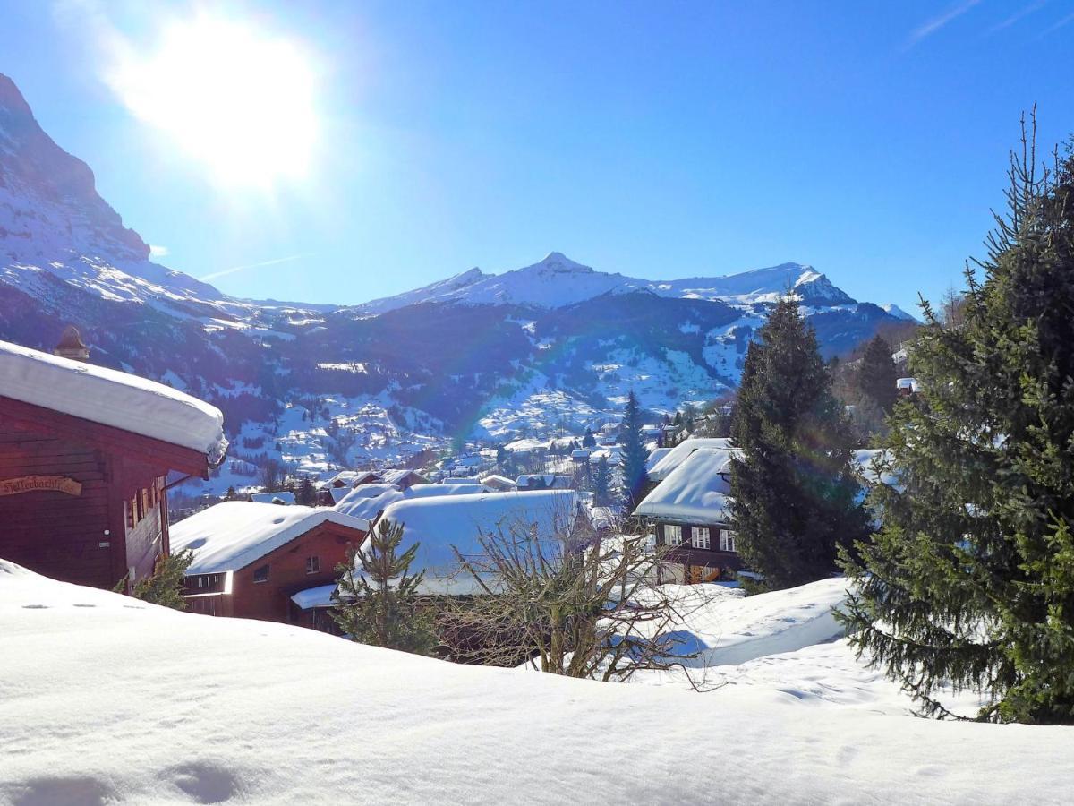 Apartment Chalet Sunneblick By Interhome Grindelwald Dış mekan fotoğraf
