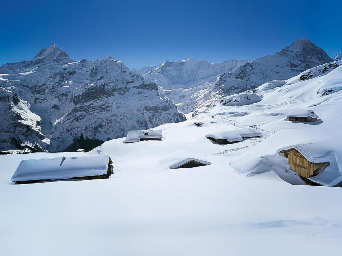 Apartment Chalet Sunneblick By Interhome Grindelwald Dış mekan fotoğraf