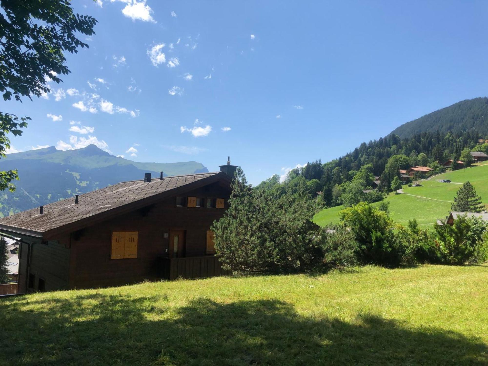 Apartment Chalet Sunneblick By Interhome Grindelwald Dış mekan fotoğraf